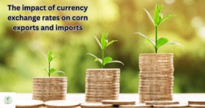 currency exchange rates on corn exports and imports