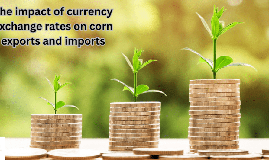 The impact of currency exchange rates on corn exports and imports