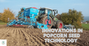 Innovations in Popcorn Seed Technology