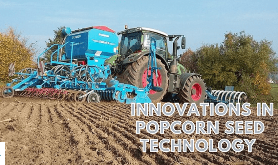 Innovations in Popcorn Seed Technology