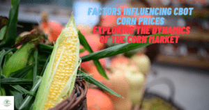 Factors Influencing CBOT Corn Prices