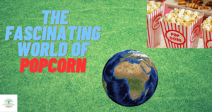 The Fascinating World of Popcorn