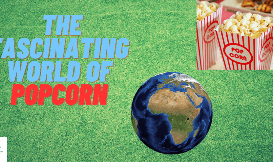 The Fascinating World of Popcorn